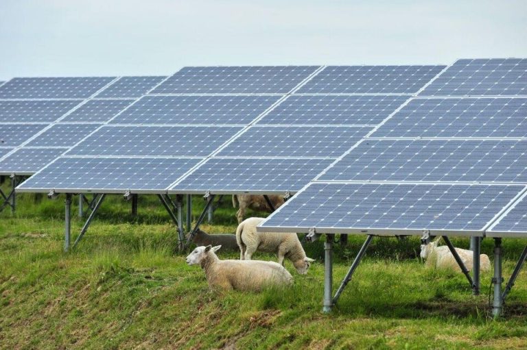 Agrivoltaico